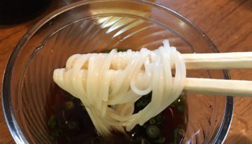 thin Japanese noodles
